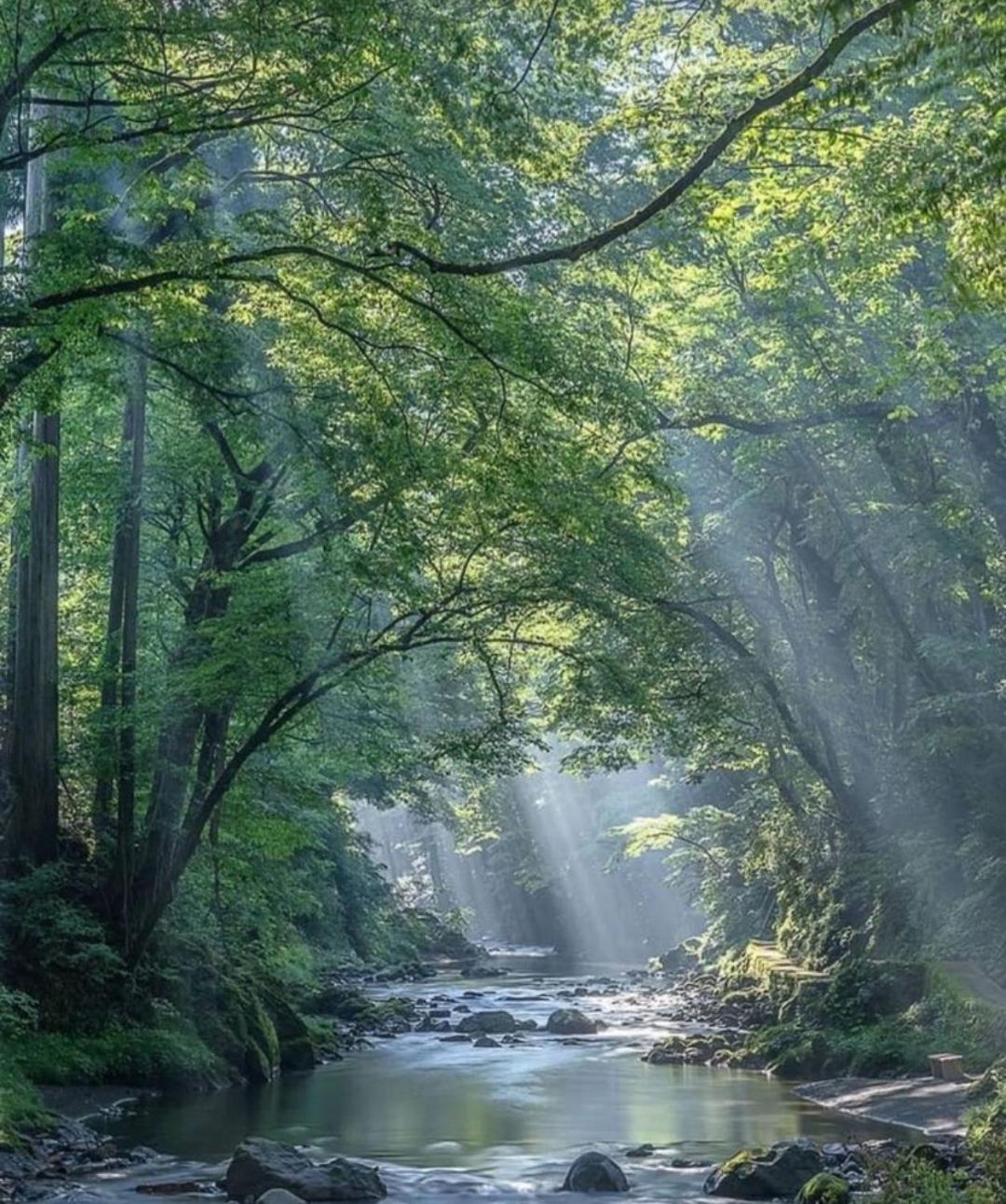 El Silencio De Galadhrim Διαμέρισμα Ponferrada Δωμάτιο φωτογραφία
